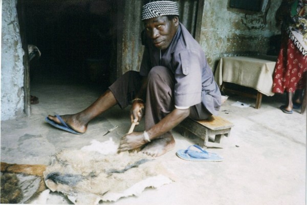 Preparing the hide