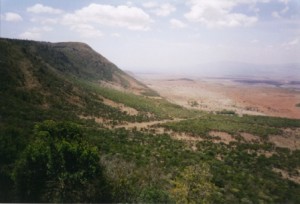 Rift valley