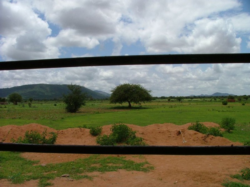 Tanzania Feb 2009 gr3 186