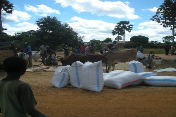 A Purchasing maize from local farmers in Tabora43