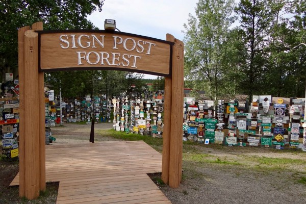 Sign Post Forest